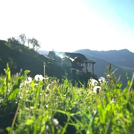 Alpin Zeneli Chalet